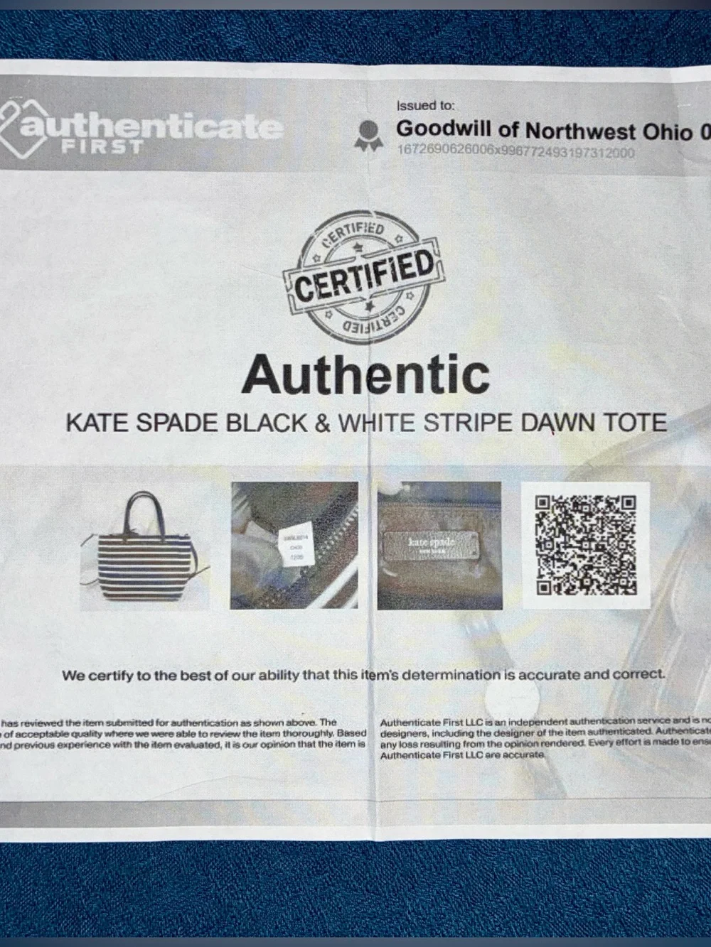 kate spade guc dawn